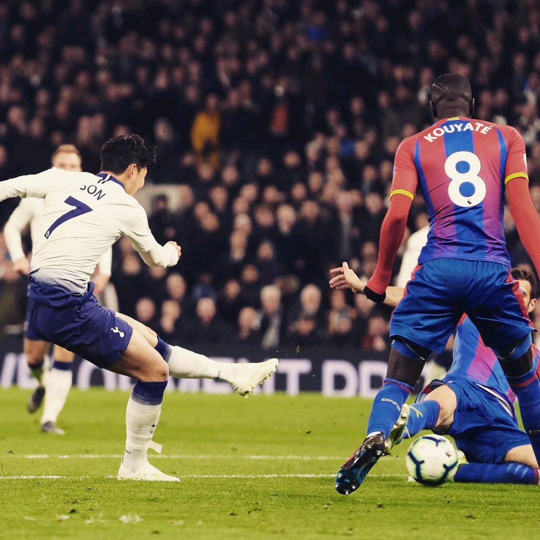 有着相当的 有着相当的